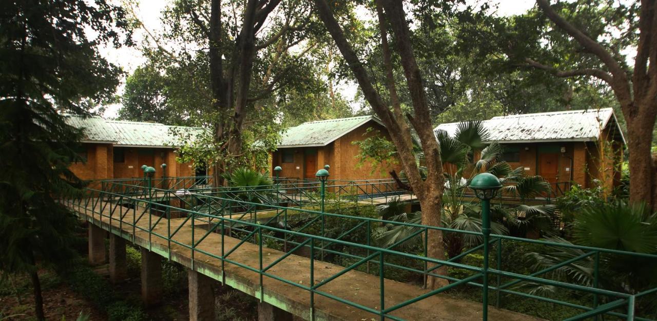 Mpt White Tiger Forest Lodge Tāla Kültér fotó
