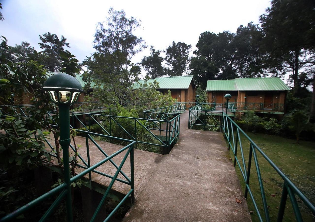 Mpt White Tiger Forest Lodge Tāla Kültér fotó
